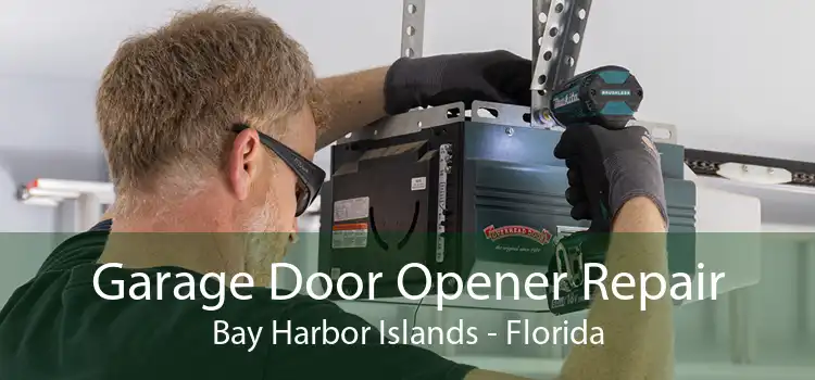 Garage Door Opener Repair Bay Harbor Islands - Florida