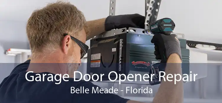 Garage Door Opener Repair Belle Meade - Florida