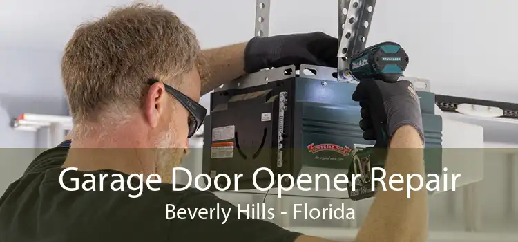 Garage Door Opener Repair Beverly Hills - Florida