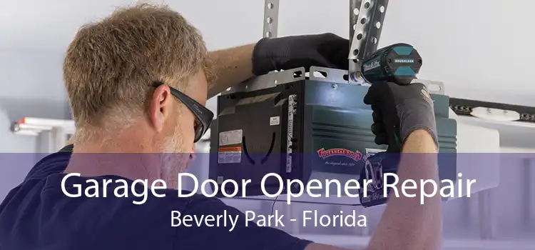 Garage Door Opener Repair Beverly Park - Florida