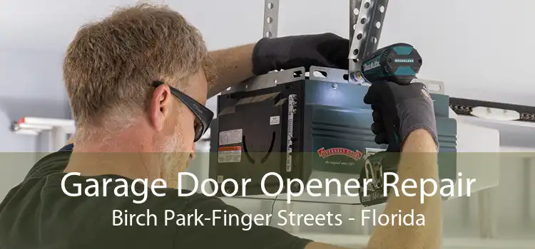 Garage Door Opener Repair Birch Park-Finger Streets - Florida