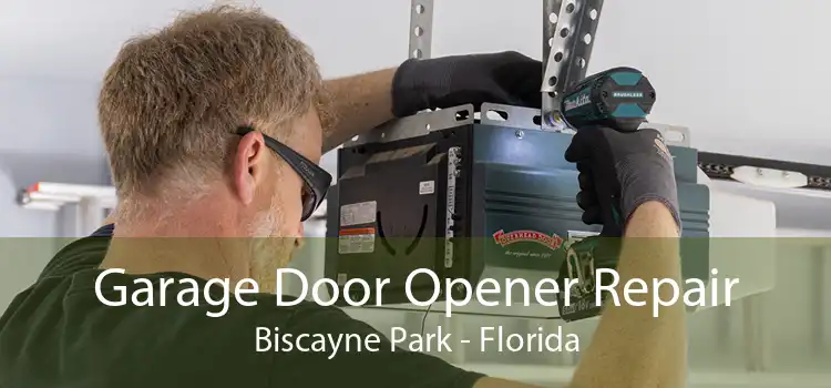 Garage Door Opener Repair Biscayne Park - Florida