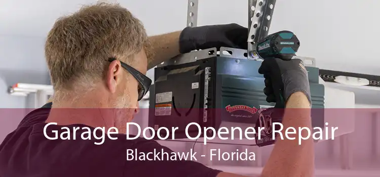 Garage Door Opener Repair Blackhawk - Florida