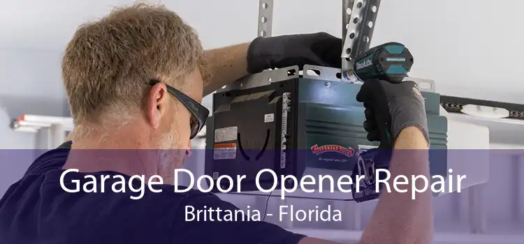 Garage Door Opener Repair Brittania - Florida