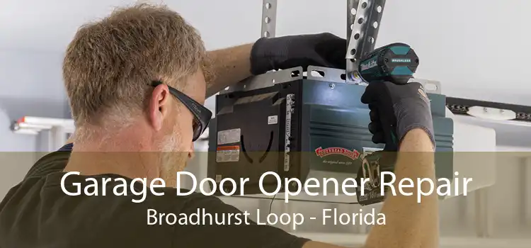 Garage Door Opener Repair Broadhurst Loop - Florida