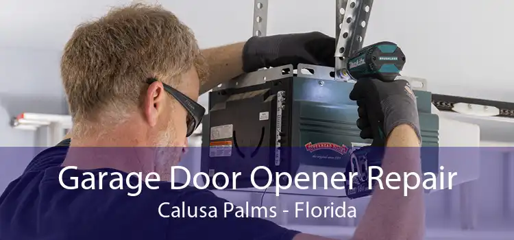 Garage Door Opener Repair Calusa Palms - Florida