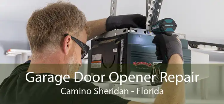 Garage Door Opener Repair Camino Sheridan - Florida