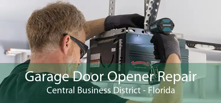 Garage Door Opener Repair Central Business District - Florida