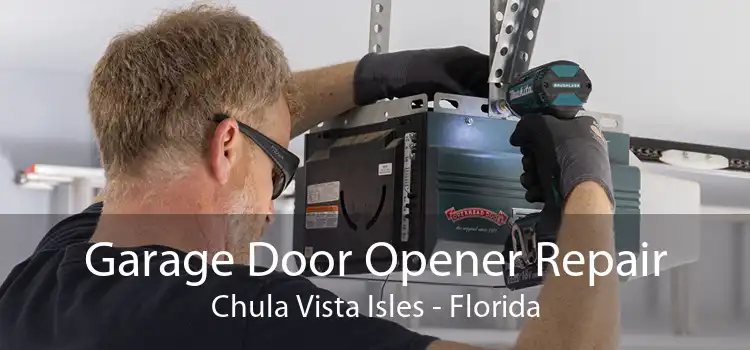 Garage Door Opener Repair Chula Vista Isles - Florida