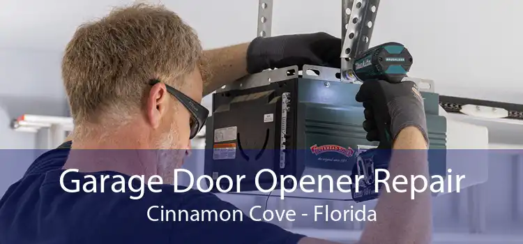 Garage Door Opener Repair Cinnamon Cove - Florida