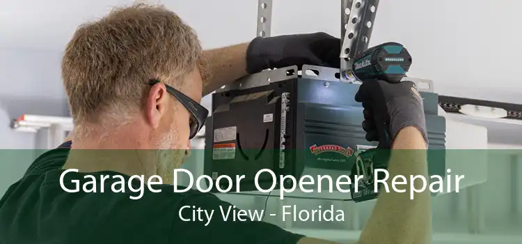 Garage Door Opener Repair City View - Florida