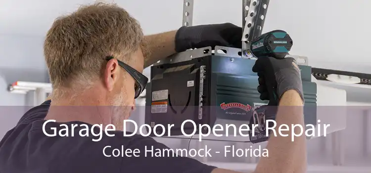 Garage Door Opener Repair Colee Hammock - Florida