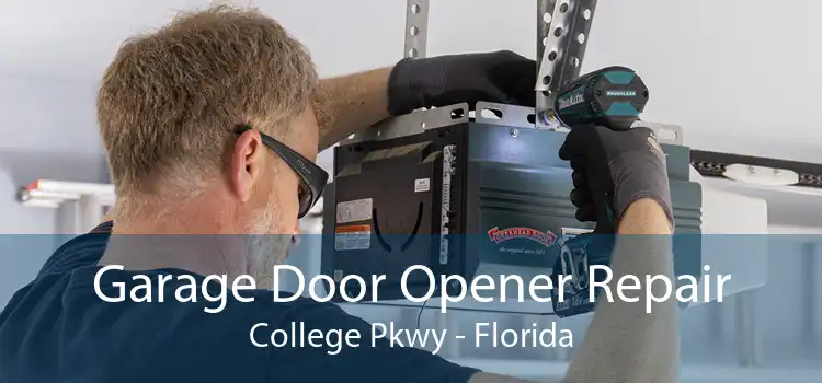 Garage Door Opener Repair College Pkwy - Florida