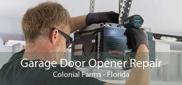 Garage Door Opener Repair Colonial Farms - Florida