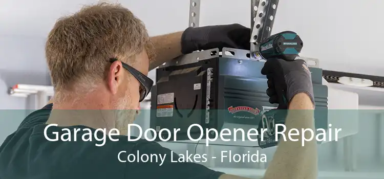 Garage Door Opener Repair Colony Lakes - Florida