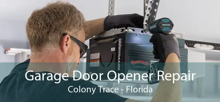 Garage Door Opener Repair Colony Trace - Florida