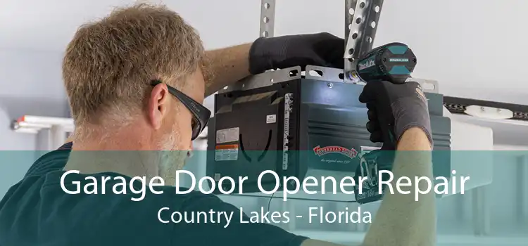 Garage Door Opener Repair Country Lakes - Florida