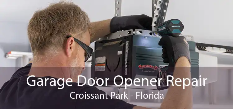 Garage Door Opener Repair Croissant Park - Florida