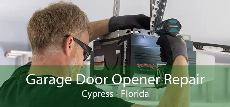 Garage Door Opener Repair Cypress - Florida