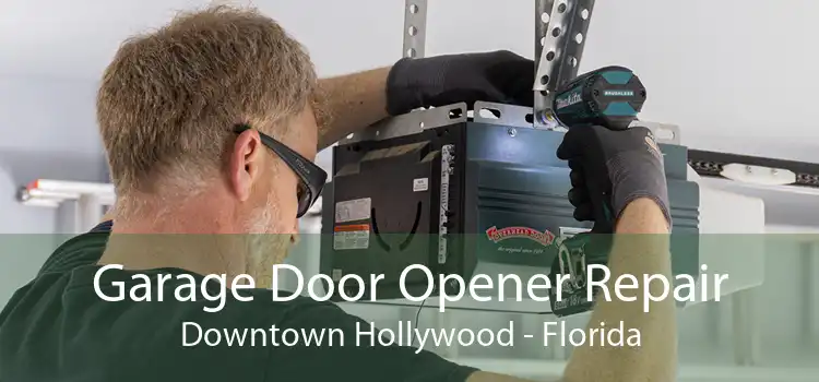 Garage Door Opener Repair Downtown Hollywood - Florida