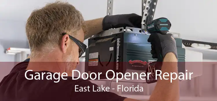 Garage Door Opener Repair East Lake - Florida