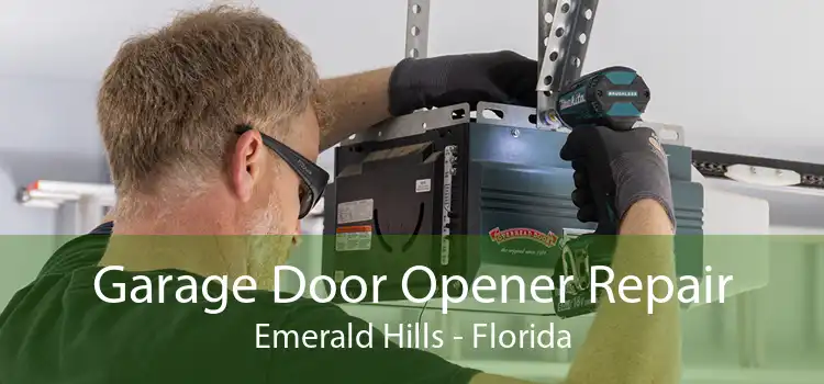 Garage Door Opener Repair Emerald Hills - Florida