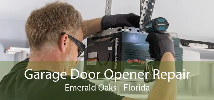 Garage Door Opener Repair Emerald Oaks - Florida