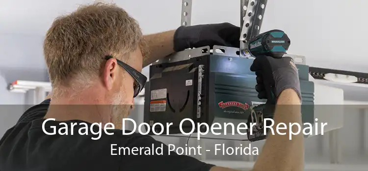 Garage Door Opener Repair Emerald Point - Florida