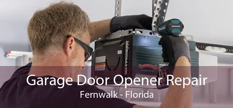 Garage Door Opener Repair Fernwalk - Florida