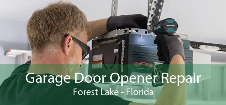 Garage Door Opener Repair Forest Lake - Florida