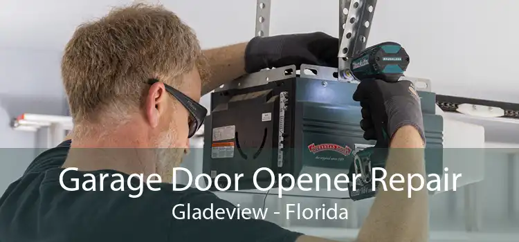 Garage Door Opener Repair Gladeview - Florida