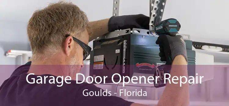 Garage Door Opener Repair Goulds - Florida