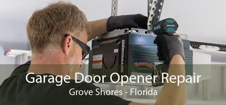 Garage Door Opener Repair Grove Shores - Florida