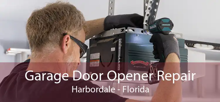 Garage Door Opener Repair Harbordale - Florida