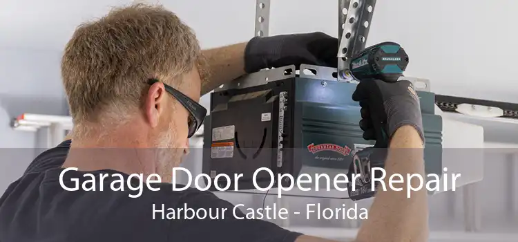 Garage Door Opener Repair Harbour Castle - Florida