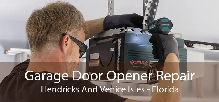 Garage Door Opener Repair Hendricks And Venice Isles - Florida