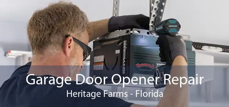 Garage Door Opener Repair Heritage Farms - Florida