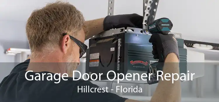 Garage Door Opener Repair Hillcrest - Florida