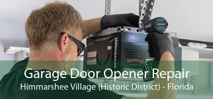 Garage Door Opener Repair Himmarshee Village (Historic District) - Florida