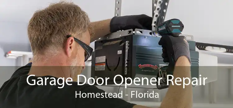 Garage Door Opener Repair Homestead - Florida