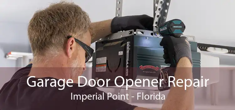 Garage Door Opener Repair Imperial Point - Florida