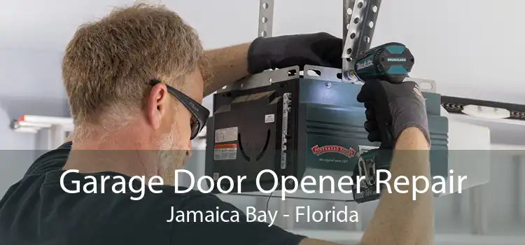 Garage Door Opener Repair Jamaica Bay - Florida