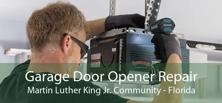 Garage Door Opener Repair Martin Luther King Jr. Community - Florida