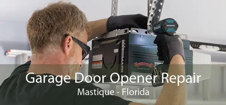 Garage Door Opener Repair Mastique - Florida