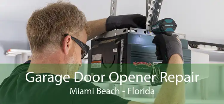 Garage Door Opener Repair Miami Beach - Florida