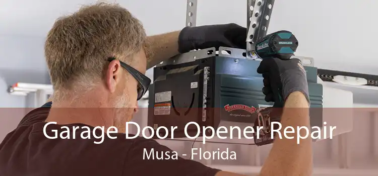 Garage Door Opener Repair Musa - Florida