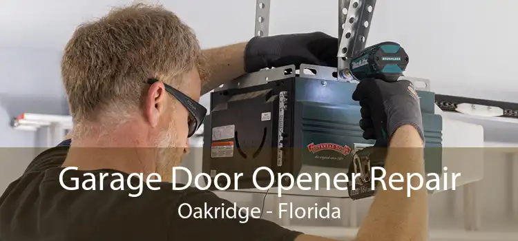 Garage Door Opener Repair Oakridge - Florida