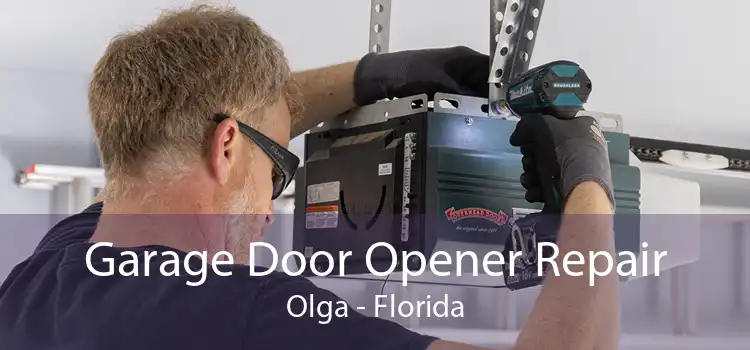 Garage Door Opener Repair Olga - Florida