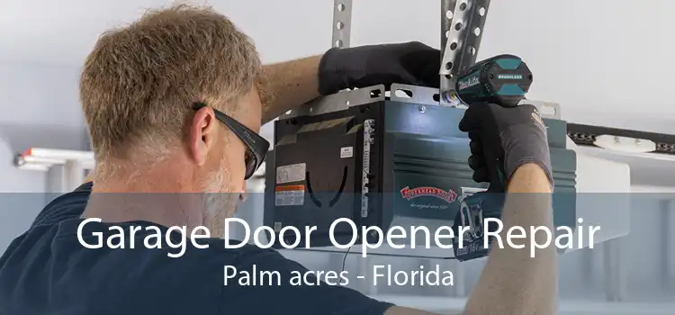 Garage Door Opener Repair Palm acres - Florida