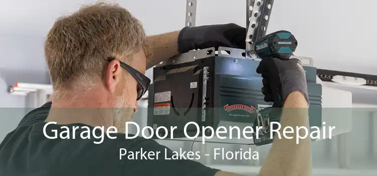 Garage Door Opener Repair Parker Lakes - Florida